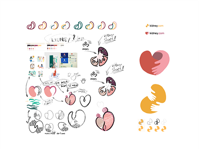 Kidney branding design disease doctor drawing graphic design help. icon icon set idea illustration kidney life liver logo logo sketch medicine vector web app