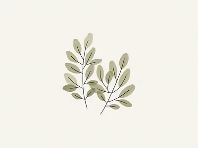 spring leaves drawing illustration plant