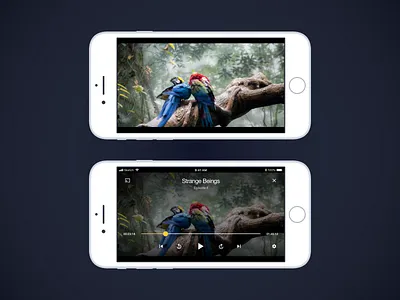 Video player on iOS ios player video video app