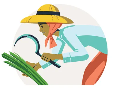 Ancestor Card, Chantrea 2d adobe board game cambodia character design illustration photoshop rice