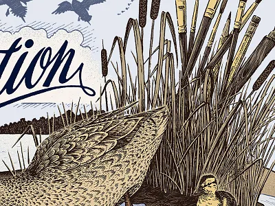 Progress cattails color drawing duck ducks illustration line linework nature outdoors pen and ink pen drawing reeds traditional water wetland wildlife