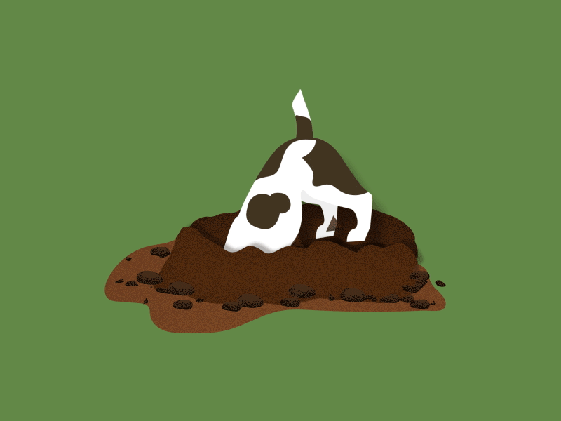 Digging Dog 2d animation after effects animation design digging dog flat illustration illustrator jack russell motion design motion graphics vector