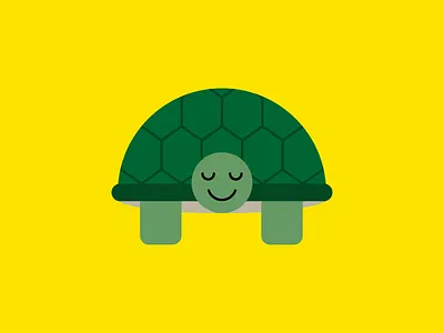 Tommy Tortoise art design flat graphic design icon illustration illustrator pet print shapes tortoise vector