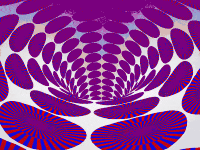 Life is an Illusion after effects art circles design designer gif illusion illustration illustrator path vector