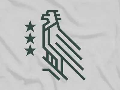 Eagle art direction bird bird logo bubla design eagle eagle logo graphic design illustration nature vector