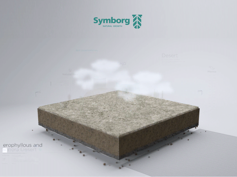 Symborg Mediterranean Forest 2d 3d animation eco enviroment green