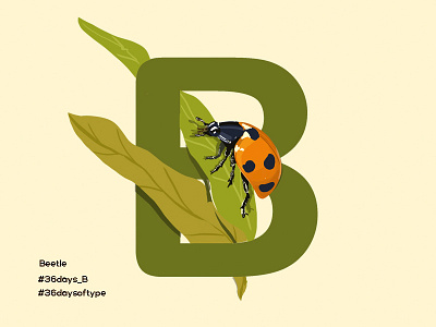 Beetle - 36 Days Of Type 36daysoftype beetle bug digital painting graphic design green illustration insect lettering orange pratikartz typography