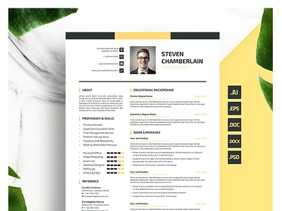 Professional Resume / CV Template a4 cover a4 resume coverletter curriculum vitae cv design employee fresh graduate illustrator job letterhead print template psd resume template word worker