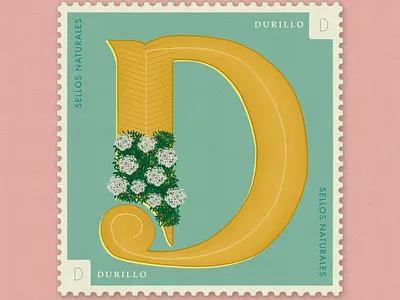 Letter D · Durillo · 36DaysOfType #SellosNaturales 36 days of type 36 days of type lettering adobeillustator botanical art digital lettering flowers flowers illustration letra d letter d lettering nature procreate sellos stamps vintage vintage art women in illustration womenofillustration