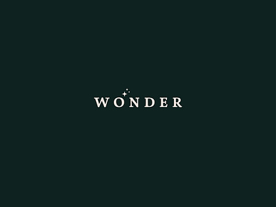 Wonder branding design illustration illustrator lettering typography