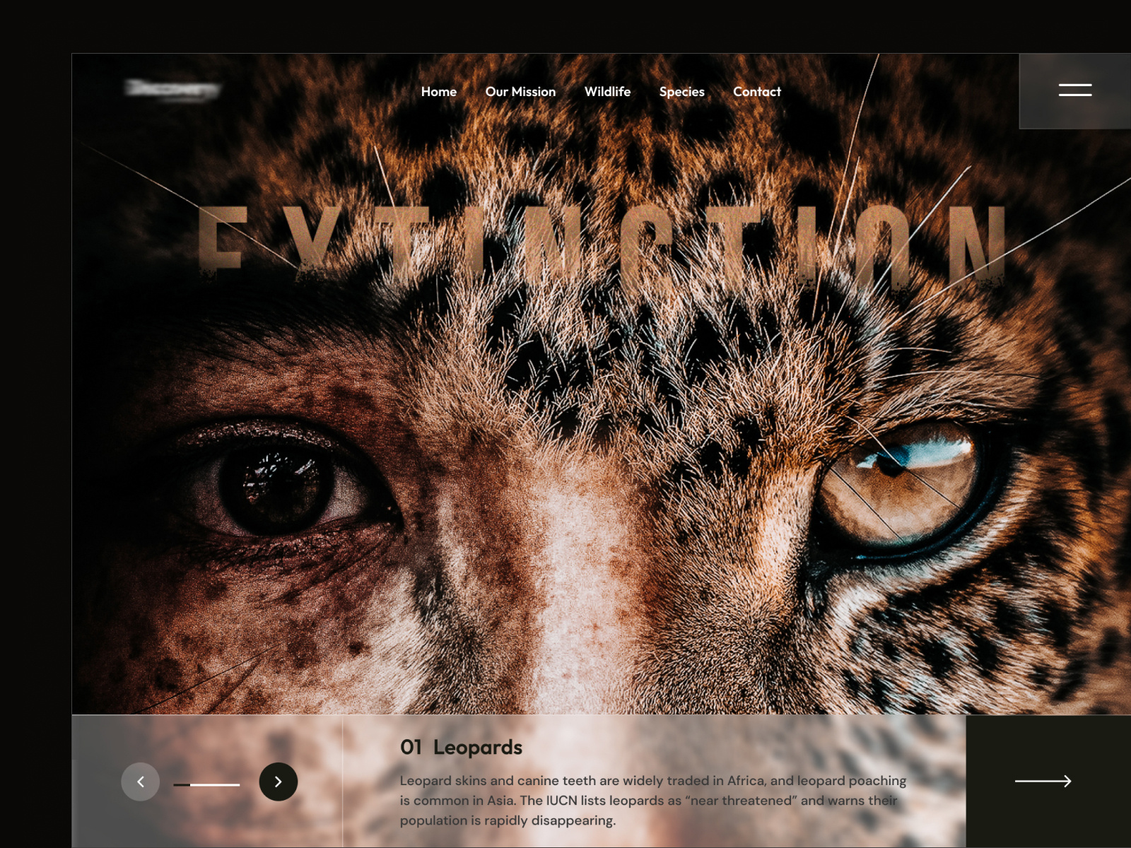 Example of Landing page for a wildlife campaign
