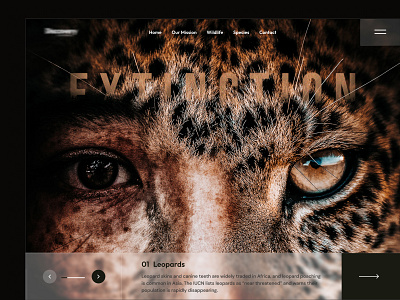 Landing page for a wildlife campaign animals creative design earth extinct forest girl homepage jungle landing page leopard planet rainforest save ui ux web wildlife