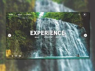 Experince nature app branding illustration logo nature text design ui ux vector web web design website