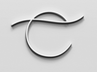 E (36daysoftype) 36daysoftype art branding calligraphy design lettering logo logotypes print type typography