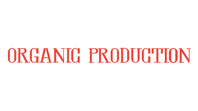 Custom Lettering Organic customlettering logo logotype typography vector