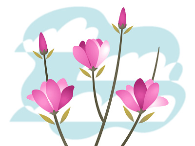 Magnolia flowers illustration magnolia plant tree vector