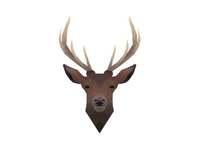 Deer 2d adobe illustrator amateur animal deer design flat flat design icon illustration illustrator illustrator art illustrator cc low poly low poly art low polygon lowpoly poly art polyart vector