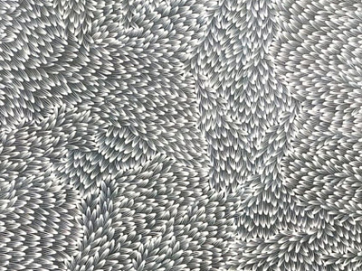 Abie Loy Kemarre art canva coup de coeur expo exposition kemarre oceania