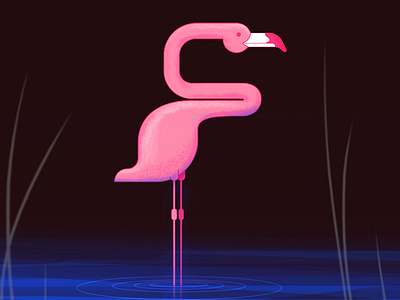 F 2d 36daysoftype d dribbble gif illustration logo loop motion vector