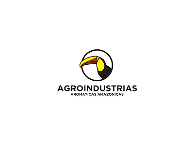 Bird Logo icon logo design