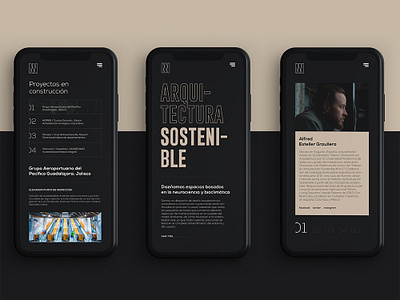 Aionplan Arquitectura Sostenible app branding design diseño web responsive ui web design ux ui web website