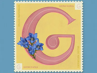 Letter G · Genciana · #36daysoftype #SellosNaturales 36 days of type 36 days of type lettering blue flower botanical art flowers gentian letter g lettering lettering art old stamp sellos naturales stamp vintage art vintage car vintage stamp women in illustration womenofillustration