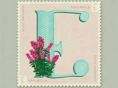 Letter E · Espumilla · #36daysoftype #SellosNaturales 36 days of type 36 days of type lettering 36days e adobe botanical art digital lettering flowers flowers illustration letra e letter letter a lettering naturalstamp rocreate sellosnaturales sellosnaturales e stamp vintage women in illustration womenofillustration