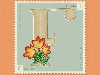 Letter F · Fresia · #36daysoftype #SellosNaturales 36 days of type 36 days of type lettering 36days f adobe botanical art estampilla flower flower illustration fresia letter f lettering old stamp procreate sellos naturales sellos naturales f stamp vintage vintage art women in illustration womenofillustration