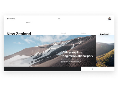 Concept GrandTrip design figma new zealand photoshop tour travel ui ui ux user experience design user interface user interface design web webdesign webdesigner вебдизайн дизайн