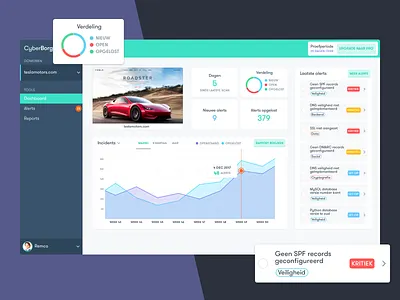 CyberBorg dashboard application cards charts cyber dashboard desktop graph netherlands security ui ux web app webdesign