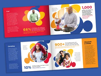 Appeal Booklet annual report appeal booklet cutout graphic design marketing non profit pattern splashes stats texture