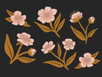 Cherry Blossoms 100dayproject cherry cherry blossom cherry tree design flowers hanami illustration illustrator japan procreate womenofillustration womenwhodraw