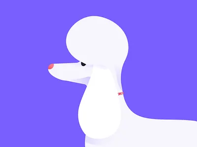 Poodle character dog drawing illustration poodle