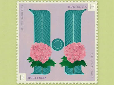 Letter H · Hortensia · #36daysoftype #SellosNaturales 36 days of type 36 days of type lettering botanical art flower crown flower illustration goodtype goodtypetuesday hortensia hydrangea letter h lettering old stamp stamp vintage vintage art vintage stamp