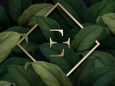 Etchitch logo brandidentity branding color design agency golden green identity branding illustration logo logo 2d nature negative space logo website