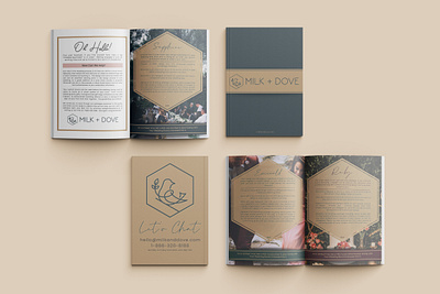 Multipage Brochure design graphic design