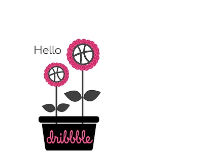 Hello Dribbble