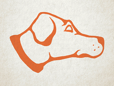 German Shorthair bird dog dog german shorthair hunting dog