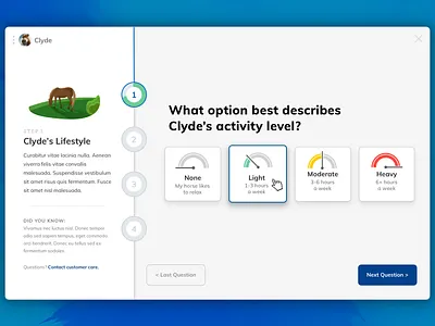 Supplement Wizard Concept app design horse quiz ui ux website wizard