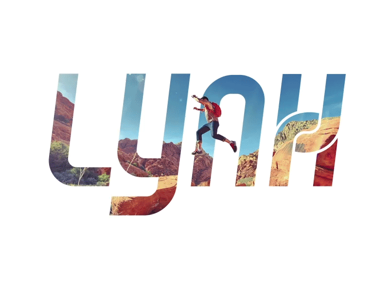 Lynx User Personas animation design graphic design logo logo animation personas photography ui ux design user experience users ux ux ui