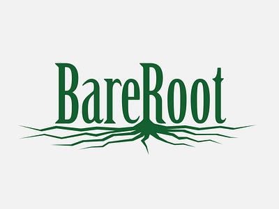 BareRoot Newsletter branding design graphic design layout typography