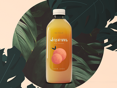 Tropicana Mock Packaging Redesign branding design flora food food drink food packaging food packaging design illustration mock mockup nature orange juice package design package mockup packaging mockup procreate tropicana typography visual identity