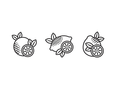 Citrus Icons branding citrus flavor fruit fruit icons gin grapefruit graphic design icons illustration lemon orange vector