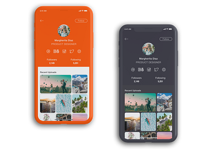 Light Mode & Dark Mode dark mode followers following light mode profile social links typography
