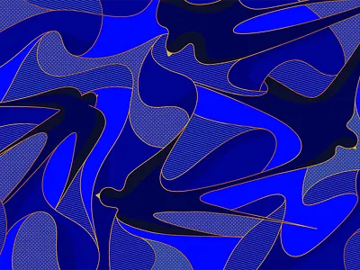 Swallows birds key visual pattern swallow