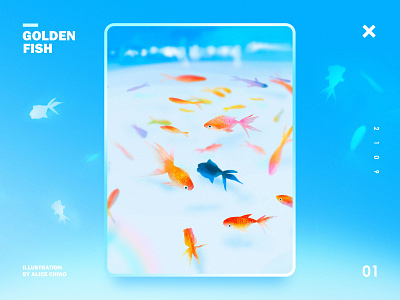 Goldenfish blue design fish illustration