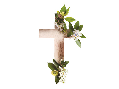 New Life beautiful botanical cherryblossom church contrast cross design dogwood easter feminine floral love minimal photography shadow washington dc