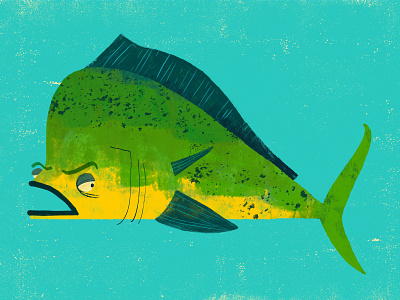 the cranky mahi animal illustration animals character character design childrens books fish illustration kid lit art kids art picture books texture