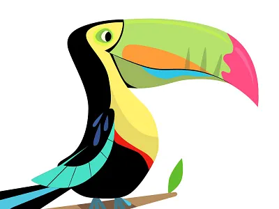 Toucan character development illustration
