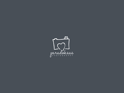 Pradoksas photography logo logo a day logo animal logo lockup logo lounge photography photography logo